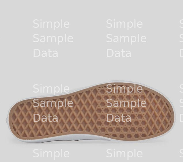 VANS | AUTHENTIC (BUTTERFLY) TRUE | WHITE / BLACK